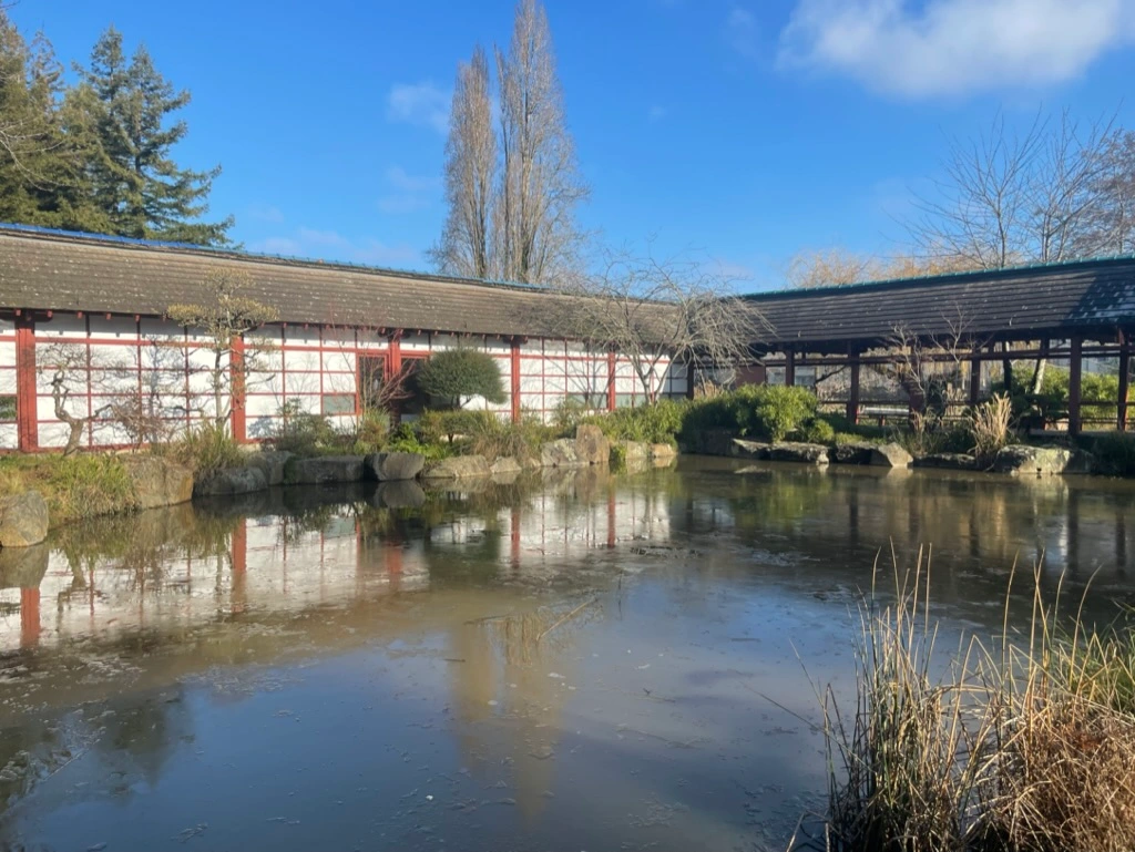 Frozen discovery of Nantes